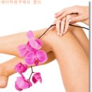 보니따의원