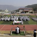 웅동중학교 이미지