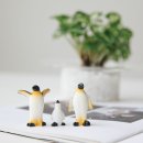 황제 펫 이미지