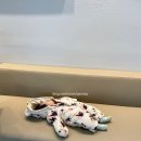 대인외과내과의원 이미지