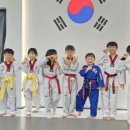 뿌리깊은나무 국기태권도장 이미지