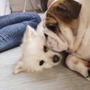 소근소근 이미지