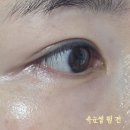 J.M 한몽소프트 | [클리오네] 가성비 좋은 쉬운 셀프 속눈썹펌 클리오네 속눈썹펌