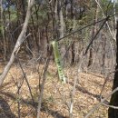 이서면사무소 이미지