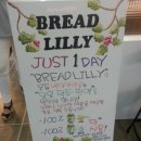 브레드릴리(Bread Lilly)