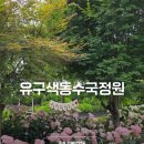 공주 유구수국축제 유구색동수국정원 주차장 방문 솔직 후기