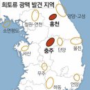 중국만 바라보던 ‘희토류’ 충주-홍천서 30년치 발견 [동아일보] 이미지