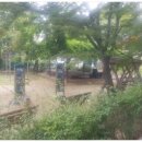 초록어린이공원 공중화장실 이미지