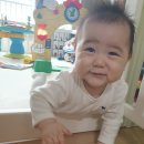 태자수선