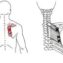 에스피트니스 짐 이미지