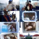 강구바다 이미지