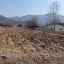 한강시민공원[양정-3] 이미지