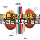 ★ 신장, 방광을 살리는 음식 7가지 ★ 이미지