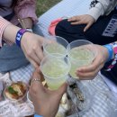 삼일기념공원 | 2024 서울재즈페스티벌(aka 서재페) day 3 후기 - 코리웡, 정동환, 알렉산더23, 제레미주커, 라우브(윋...