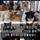 김기주농장 | 차주영 비출혈, 최강 동안견의 기적, 장동민 실리프팅 고통… 충격적인 사연 모음