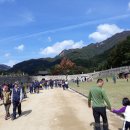 문경새재 도립공원 이미지