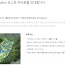 김천포도CC 티스토리