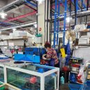 율포회센터 이미지