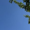 블루마린 | 앗싸 여름^0^ 거제도 물놀이 [두모몽돌해변 옆 몽돌해변, 웨스트포트 펜션, 카페커몽] 1박2일