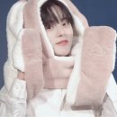 강아지 나라 이미지