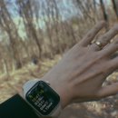 장군식자재마트 | 2026 구닥일기: 3월 보구싶었어요 봄.. 너무나 간절스러웠어요