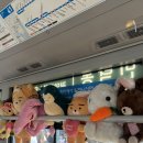 오렌즈 부산사직점 | ⚾️ 야구직관&amp;부산2박3일(24/8/6-24/8/8) <사직야구장/롯데vsNC>⚾️