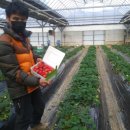 석훈농장 이미지