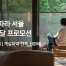 파라스파라 서울 이미지