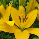 대길농장 이미지