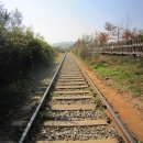 푸른산수목원 이미지