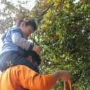 나무와 숲 어린이집 이미지