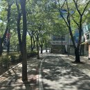 경주현곡우렁이쌈 이미지