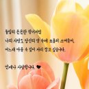 원당 콜라텍 화요모임 이미지