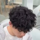 스왈로