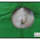 단비동물병원 이미지