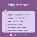 생활 속 힐링 아로마테라피 이미지