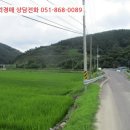 미천면-9 네이버블로그