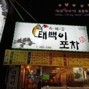 태백이포차 네이버블로그