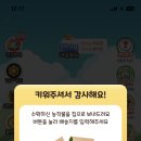 올팜