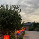 2025 금당야행 이미지