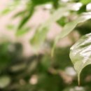 아이행복가정의학과의원 이미지