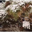 달밤한옥펜션 이미지