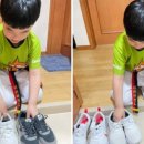 비산 태비태권도장 이미지