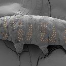 네이처 잉크 이미지