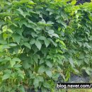 국신농장 이미지