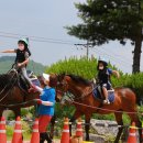 대가초등학교 이미지