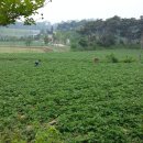 고려공인중개사 사무소 이미지