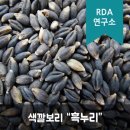 보리누리