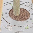 허준테마거리 이미지