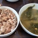 까멜리아 이미지